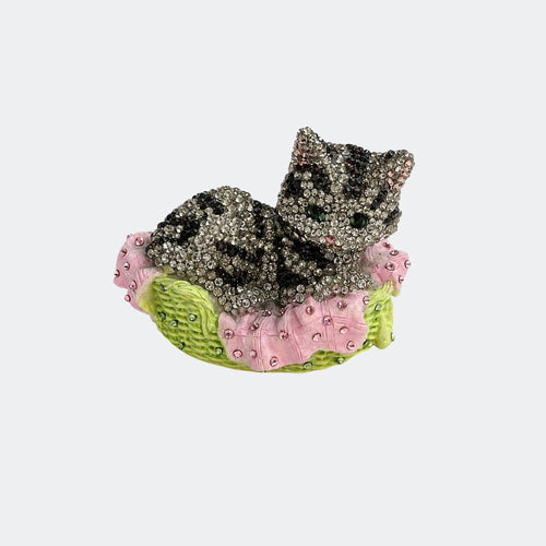 Silver Tabby Cat