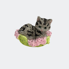 Silver Tabby Cat