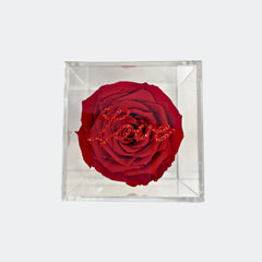 CRYSTALLIZED ETERNITY ROSE - Jimmy Crystal New York