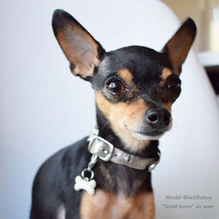 Dog Charms - Jimmy Crystal New York