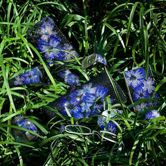 Jimmy Crystal New York e-Gift Card - Jimmy Crystal New York