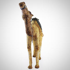 CAMEL - Jimmy Crystal New York